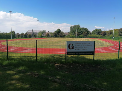 O' Sullivan park, Athletic facility
