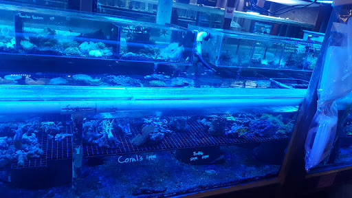 Aquarium Shop «Exotic Aquariums», reviews and photos, 7399 Bird Rd, Miami, FL 33155, USA
