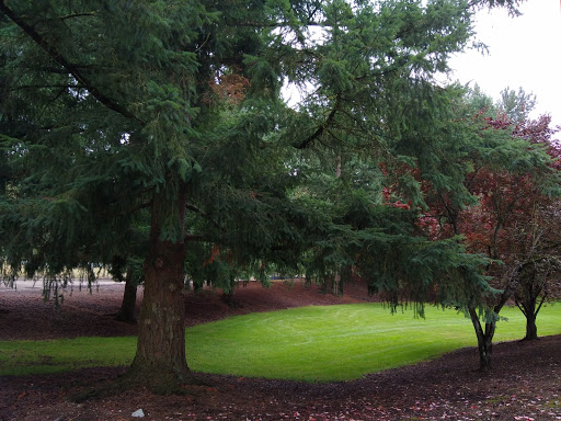 Performing Arts Theater «Carco Theatre», reviews and photos, 1717 Maple Valley Hwy, Renton, WA 98057, USA