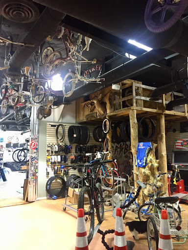 Bicycle Store «Eastern Panhandle Bicycle Company», reviews and photos, 805 E Moler Ave, Martinsburg, WV 25404, USA