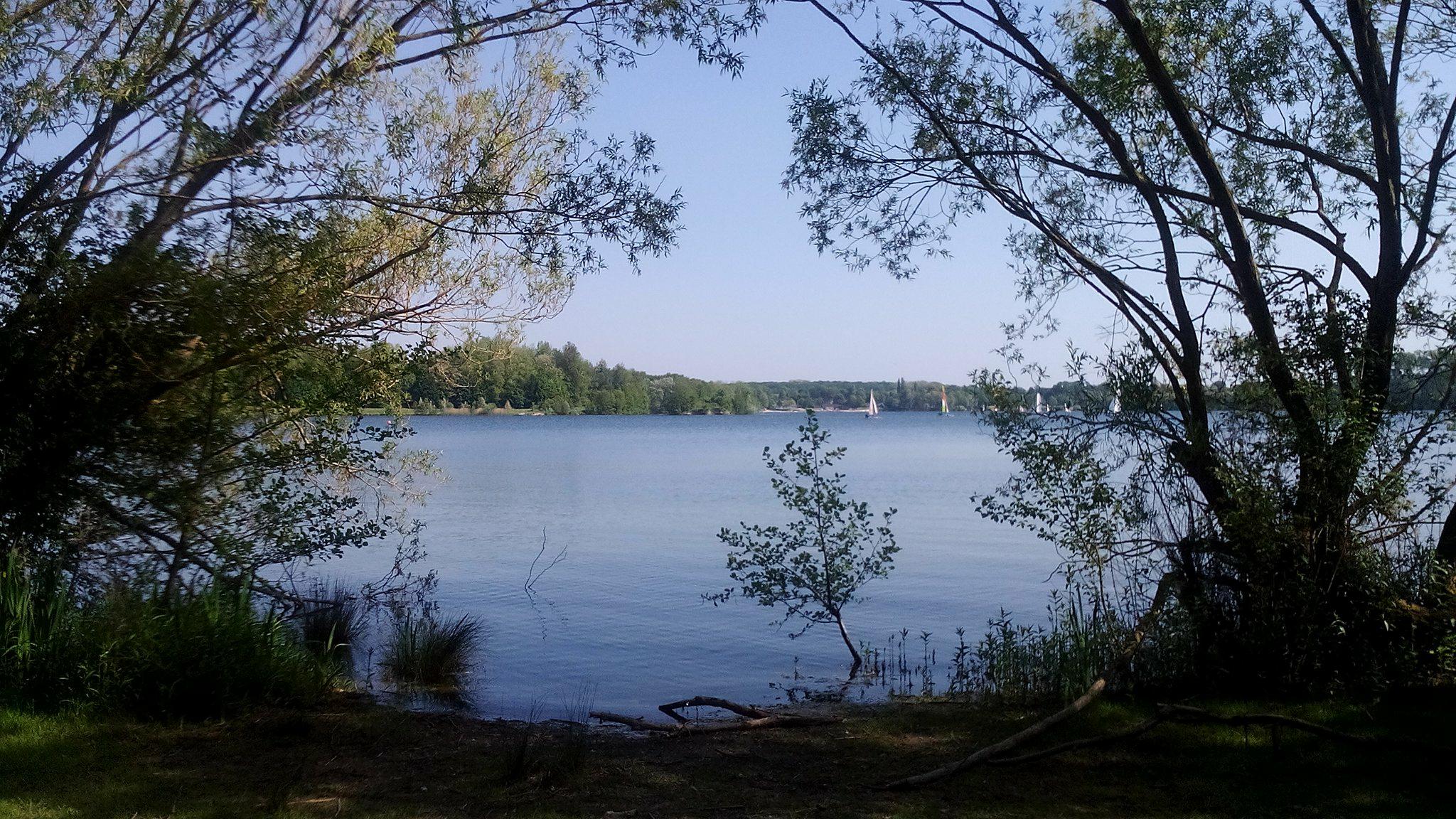 Photo n° 4 de l'avis de charlaine.e fait le 19/05/2018 à 19:08