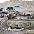 GRIMMWELT Kassel gGmbH