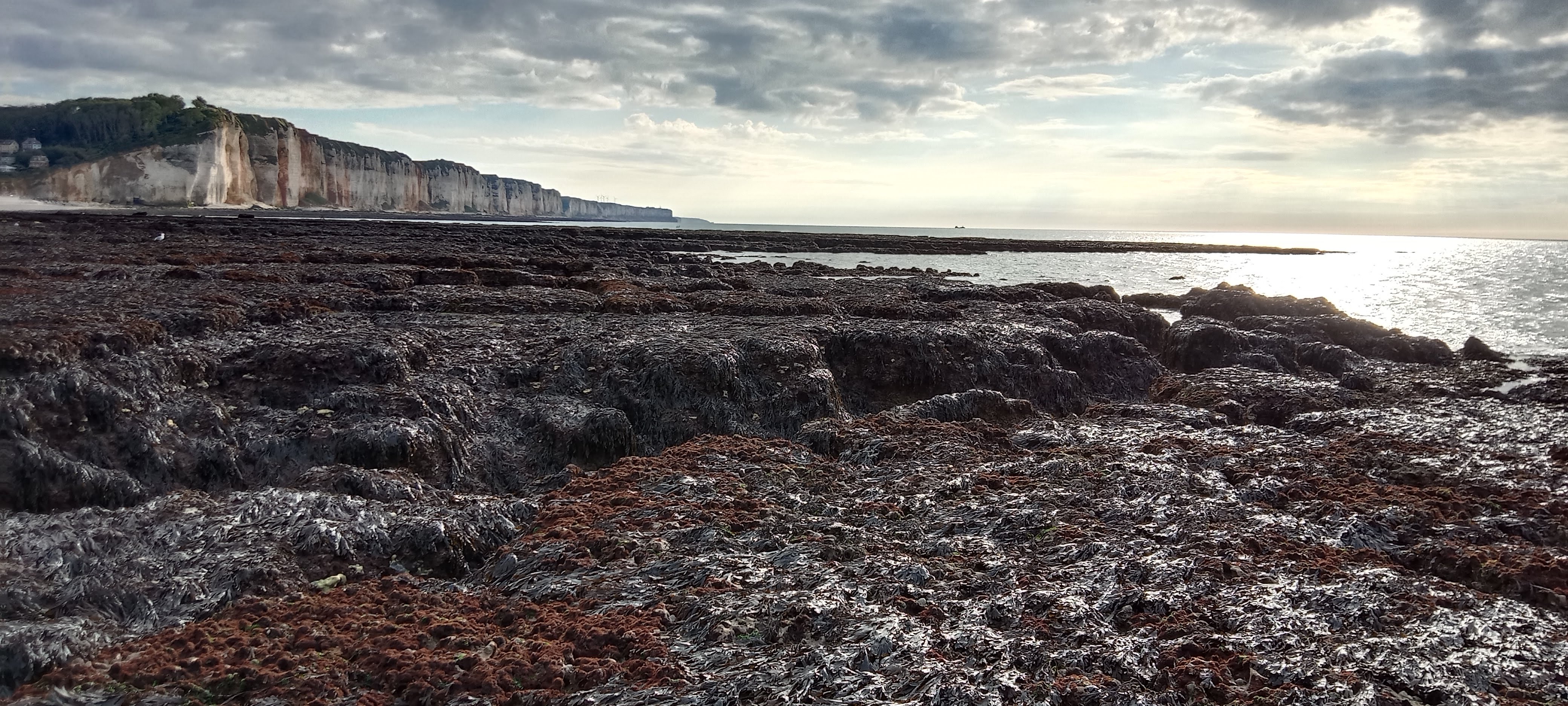 Photo n° 3 de l'avis de Marie.i fait le 16/08/2023 à 22:10