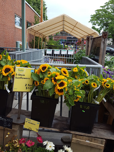 Grocery Store «Whole Foods Market», reviews and photos, 45 Beacon St, Somerville, MA 02143, USA