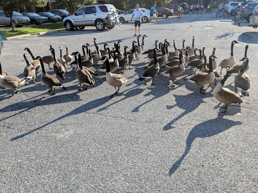 Gym «Anytime Fitness», reviews and photos, 702 Lantana Dr, Hockessin, DE 19707, USA