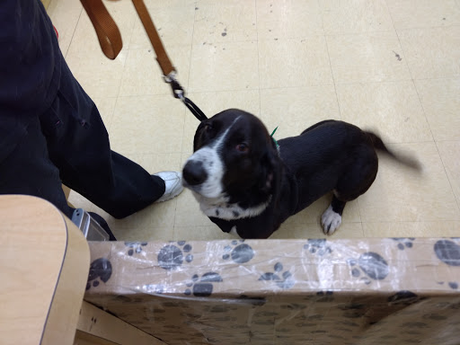 Pet Supply Store «Pet Supplies Plus», reviews and photos, 3100 Manchester Rd, Akron, OH 44319, USA