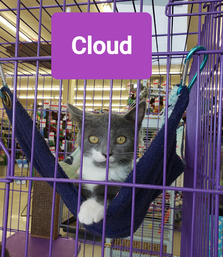 Pet Supply Store «Pet Supplies Plus», reviews and photos, 1258 Northlake Blvd, Lake Park, FL 33403, USA