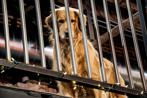 Outdoor Sports Store «Feral Mountain Co.», reviews and photos, 4320 Tennyson St, Denver, CO 80212, USA