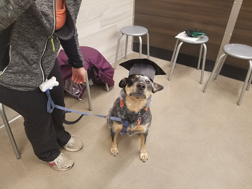 Pet Store «PetSmart», reviews and photos, 3720 River Point Parkway, Sheridan, CO 80110, USA