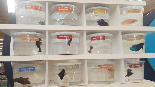 Pet Supply Store «Petco Animal Supplies», reviews and photos, 3055 Columbia Blvd #117, Titusville, FL 32780, USA