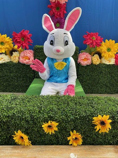 Garden Center «Dees Nursery & Florist», reviews and photos, 69 Atlantic Ave, Oceanside, NY 11572, USA