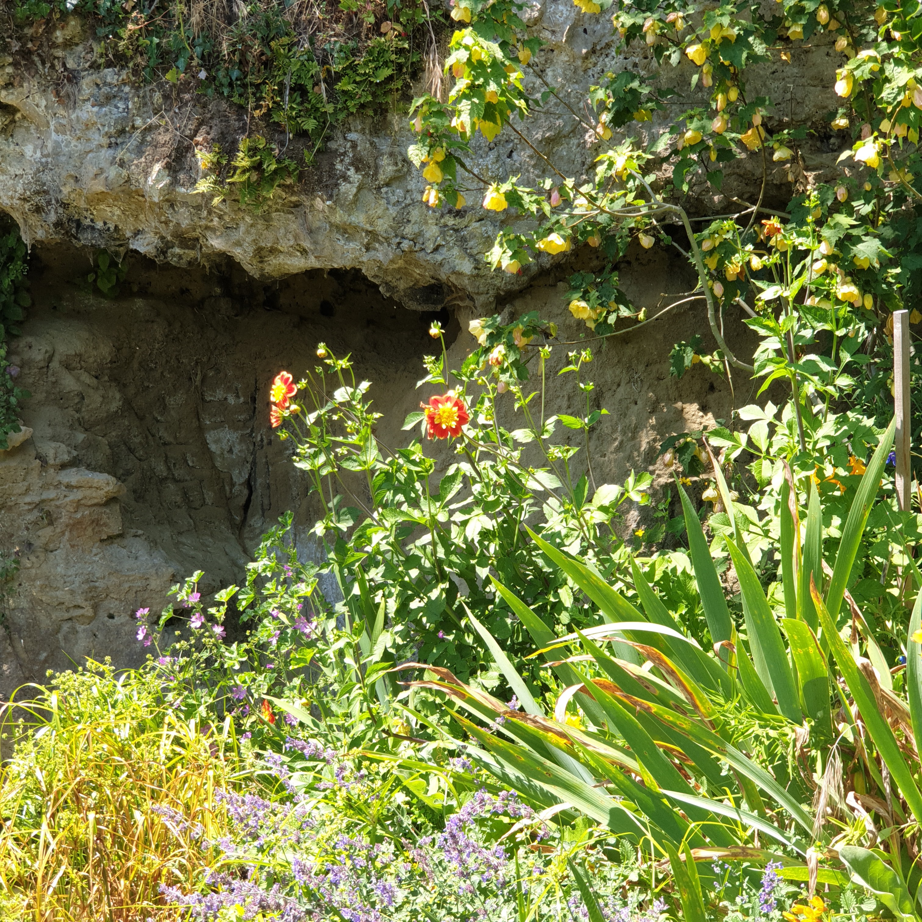 Photo n° 1 de l'avis de Alexandra.o fait le 14/05/2019 à 19:55