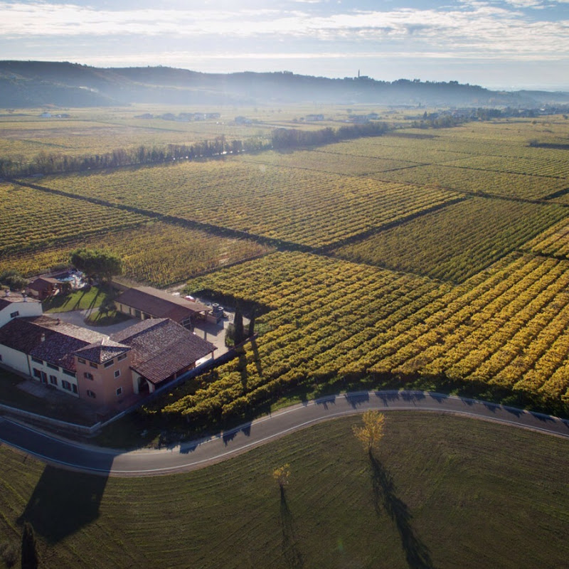 Azienda Agricola Marco Mosconi