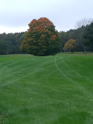 Golf Club «Gull Lake View Golf Club & Resort», reviews and photos, 7417 N 38th St, Augusta, MI 49012, USA