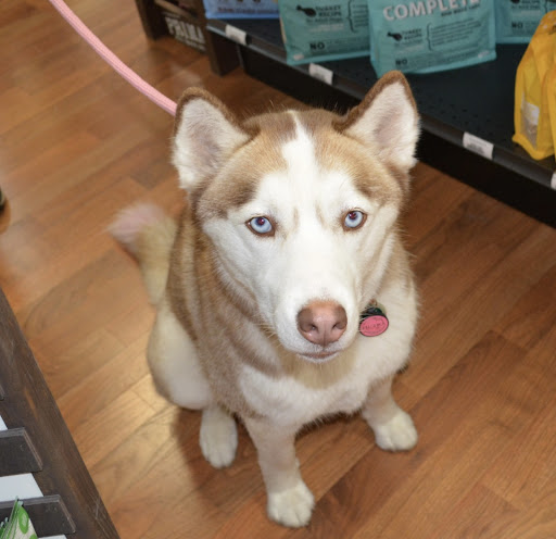 Pet Supply Store «The Natural Pet Enrichment Center», reviews and photos, 6720 Royalton Rd, North Royalton, OH 44133, USA