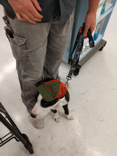 Pet Supply Store «Petco Animal Supplies», reviews and photos, 1337 N National Rd, Columbus, IN 47201, USA