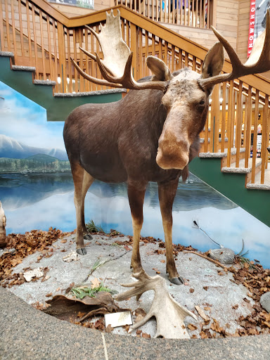 Outdoor Sports Store «Kittery Trading Post», reviews and photos, 301 US-1, Kittery, ME 03904, USA