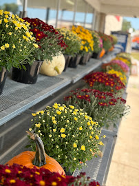 Depere Hardware - Photo 2 - Car repair in De Pere, WI, Green Bay