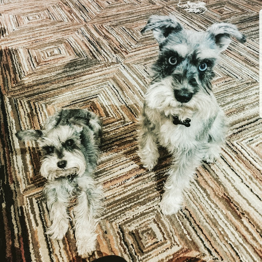 Pet Store «PetSmart», reviews and photos, 14903 4th Ave SW Ste 200, Burien, WA 98166, USA