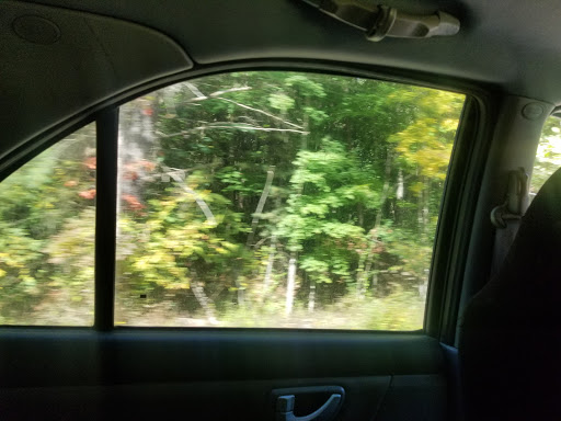 Art Gallery «Brown County Art Gallery», reviews and photos, 1 Artist Dr, Nashville, IN 47448, USA