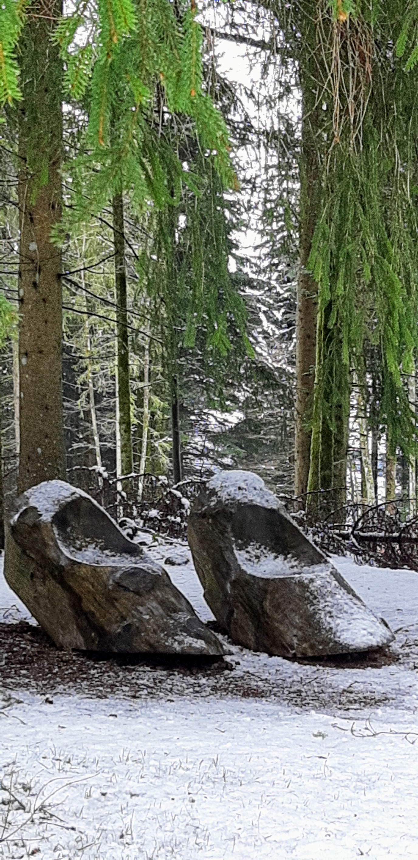 Photo n° 13 de l'avis de betty.o fait le 14/04/2019 à 10:33