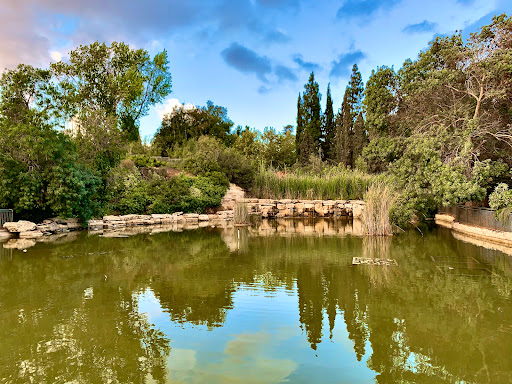 פארקים בחינם ירושלים