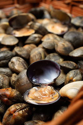 Les Viviers d'Armor à Cancale