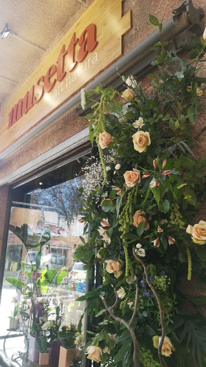 Musetta Art Natura en Mollet del Vallès