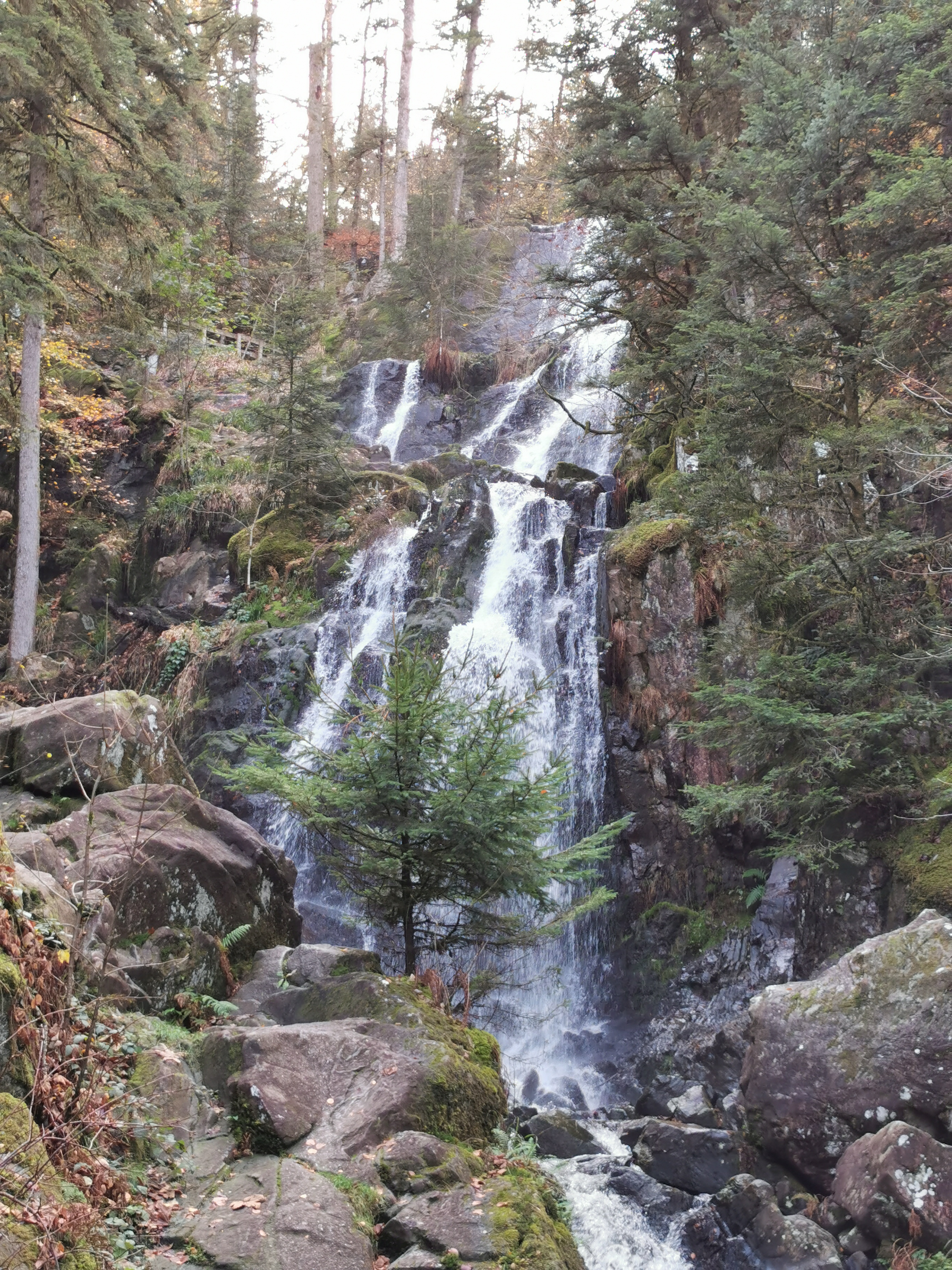 Photo n° 1 de l'avis de Mickael. fait le 05/11/2022 à 17:35