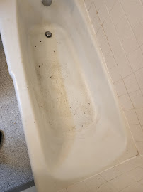 Sesms Cleaning - Photo 6 - Car repair in , Champaign