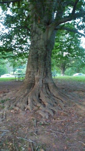 Golf Course «Cherokee Golf Course», reviews and photos, 2501 Alexander Rd, Louisville, KY 40204, USA