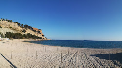 Plage de la Grande Mer'in fotoğrafı geniş bir kıyı şeridi ile birlikte