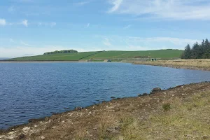 Laneshaw Reservoir image