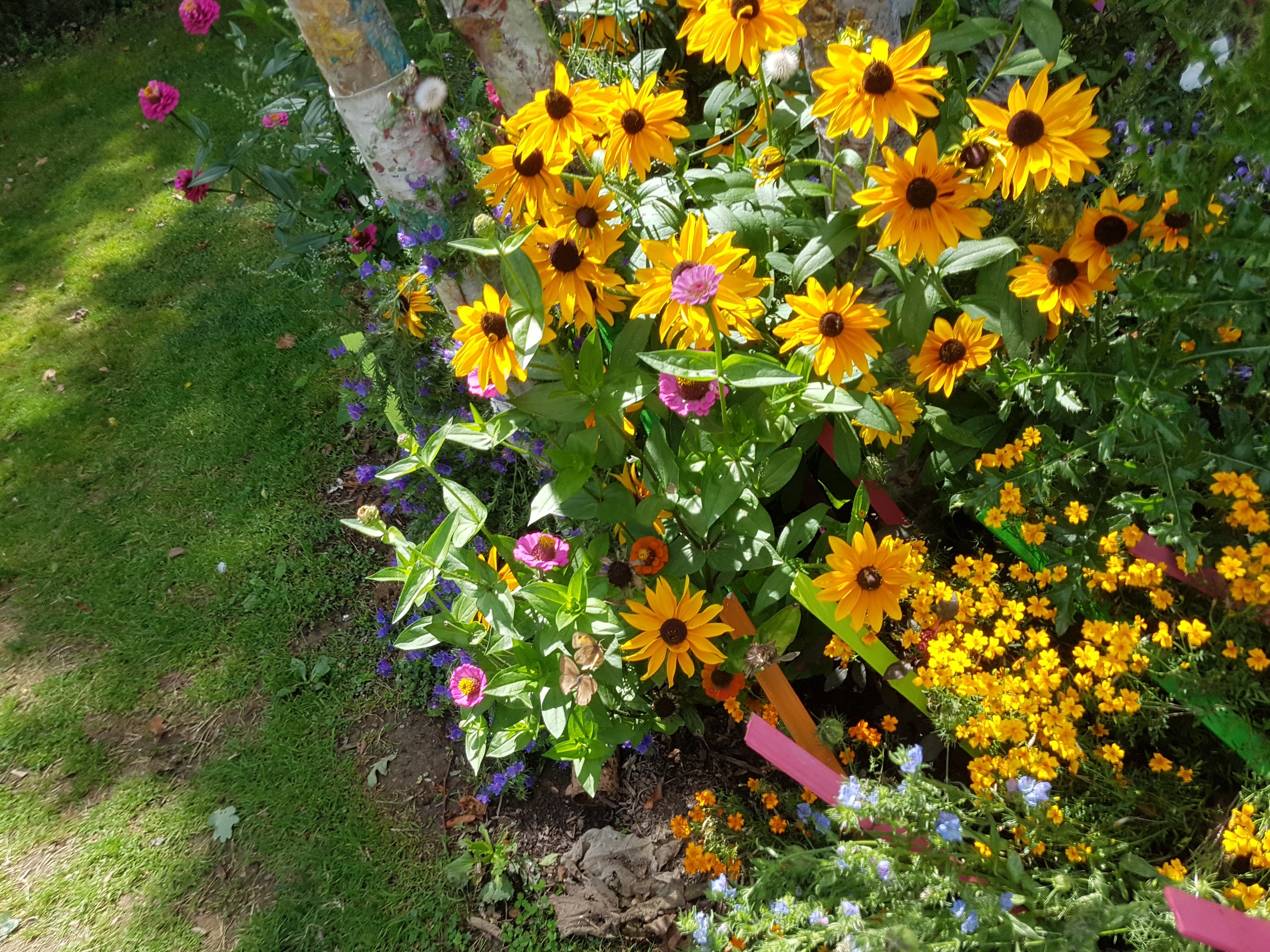 Photo n° 8 de l'avis de Miguel.l fait le 18/08/2019 à 15:20