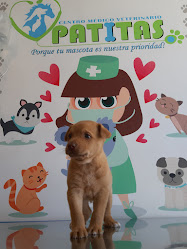 Centro Médico Veterinario Patitas