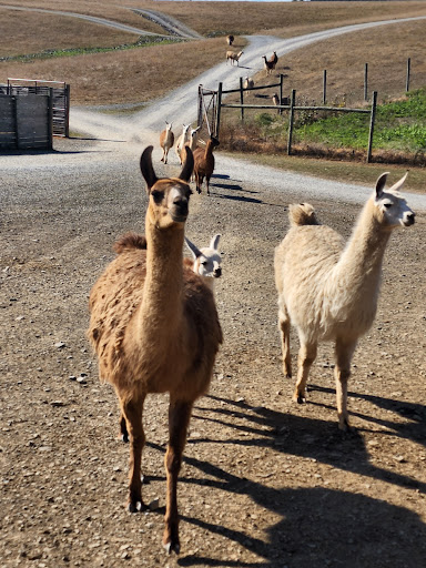 Park «Lake Tobias Wildlife Park», reviews and photos, 760 Tobias Road, Halifax, PA 17032, USA