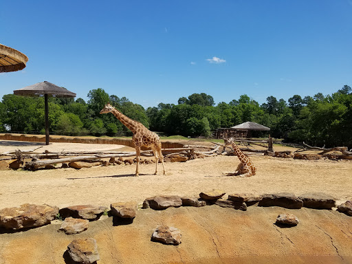 Zoo «Caldwell Zoo», reviews and photos, 2203 W Martin Luther King Jr Blvd, Tyler, TX 75702, USA