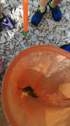 Golf Course «Stansbury Park Golf Course», reviews and photos, 1 Country Club, Stansbury Park, UT 84074, USA