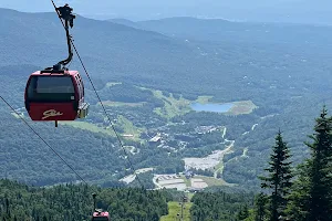 Gondola Skyride image