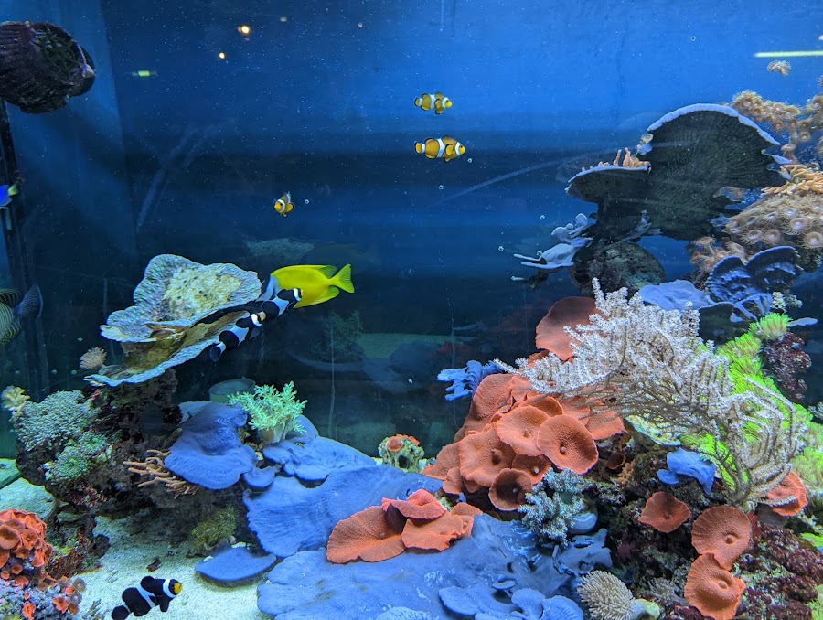 Museo de la Ciencia y el Agua