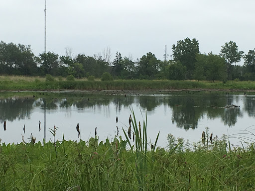 Nature Preserve «Orland Grassland», reviews and photos, 167th Street & S La Grange Road, Tinley Park, IL 60487, USA