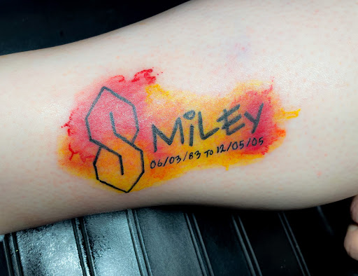 Explore small lion tattoo ideas, creative tattoo ideas in Bowling Green, available at Ink Therapy and Body Piercing