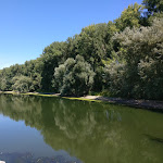 Photo n°5 de l'avis de Bernd.i fait le 17/08/2018 à 18:32 sur le  Restaurant Insel Rott am Rhein GmbH à Linkenheim-Hochstetten