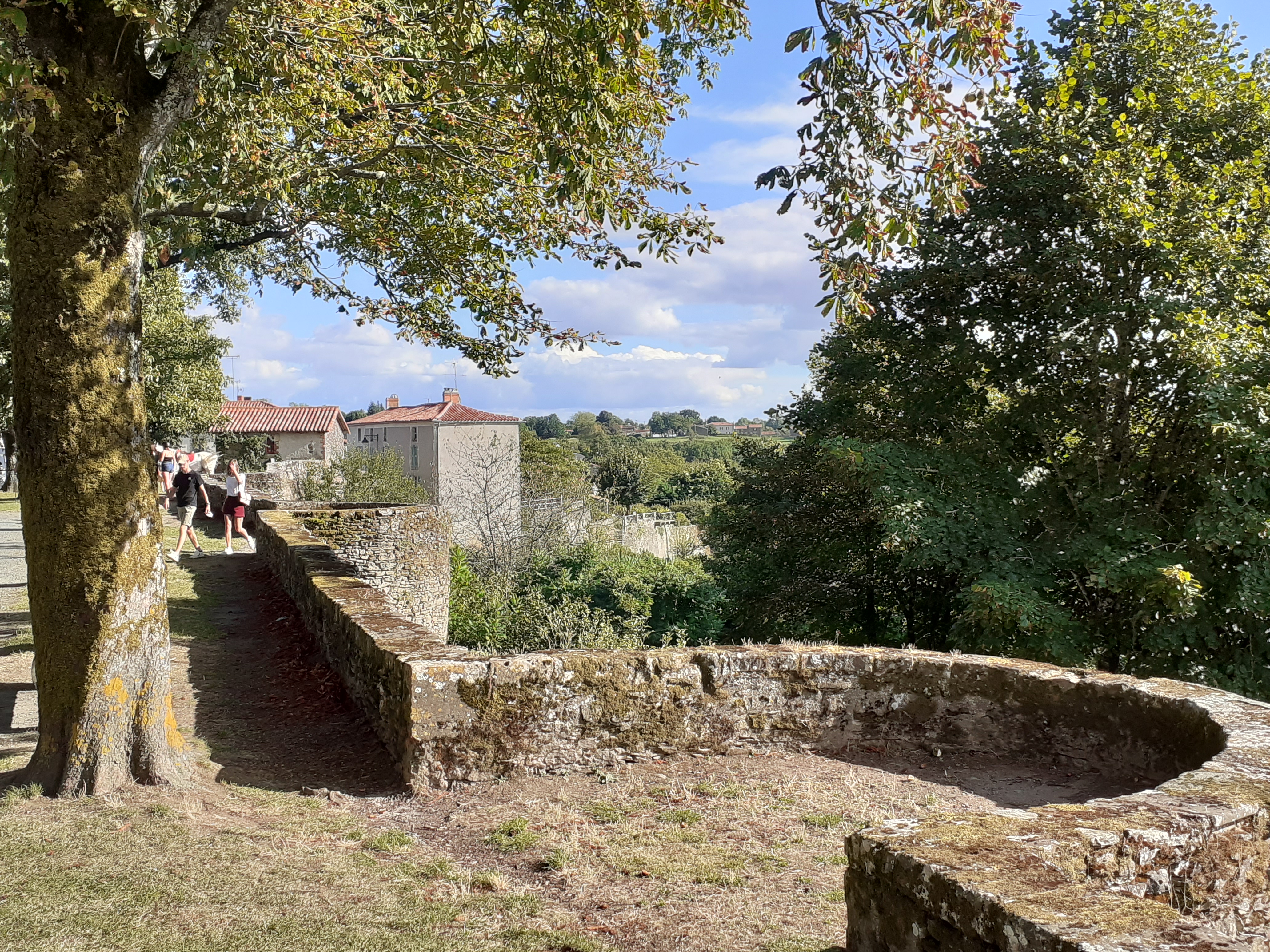 Photo n° 15 de l'avis de Gilles.a fait le 23/08/2020 à 22:04