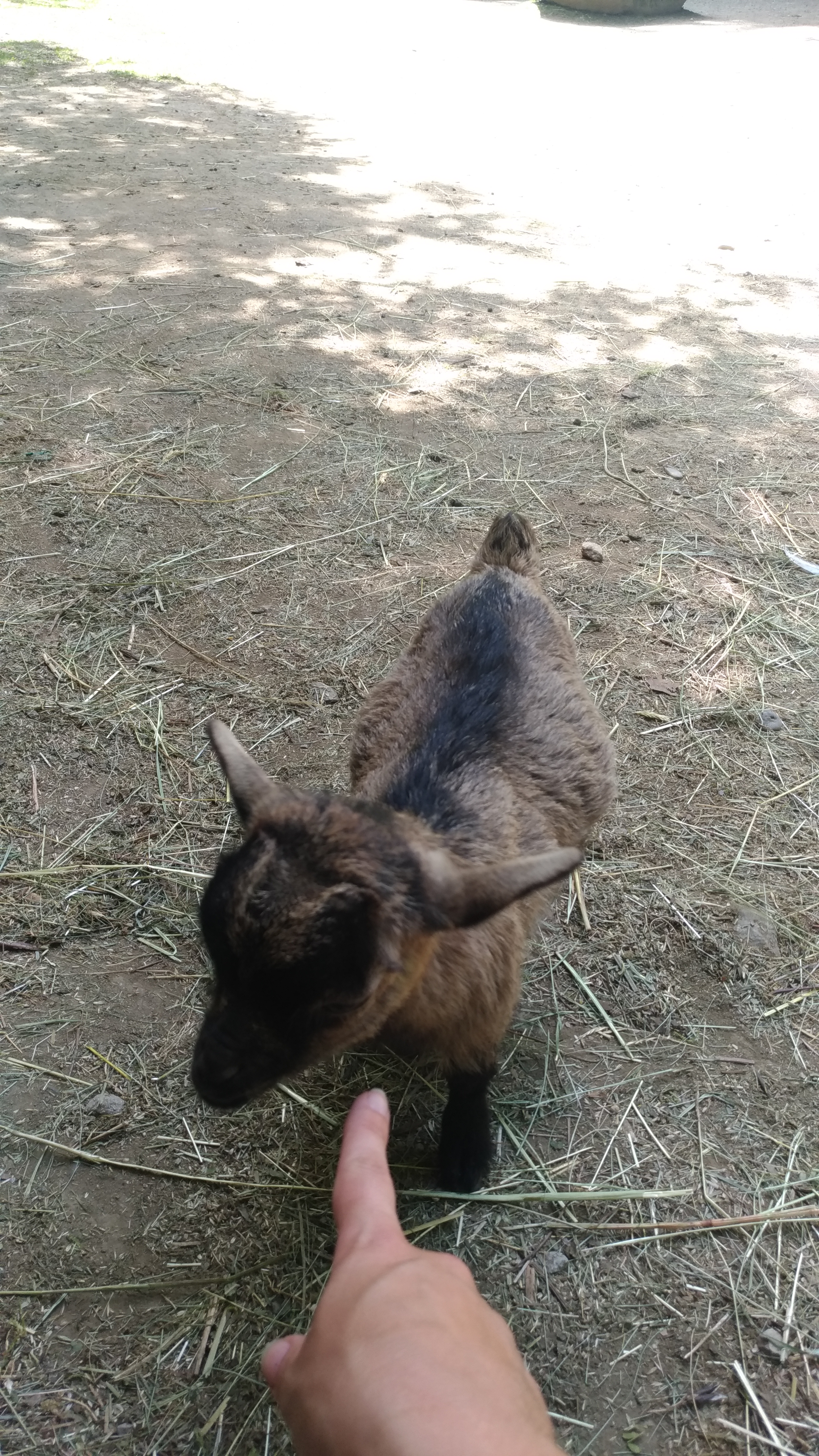 Photo n° 5 de l'avis de Virginie.H fait le 30/07/2019 à 23:50