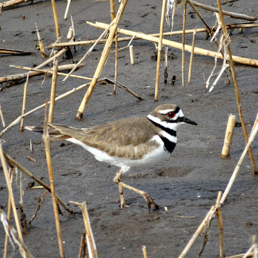 Amusement Park «Bay Beach Amusement Park», reviews and photos, 1313 Bay Beach Rd, Green Bay, WI 54302, USA