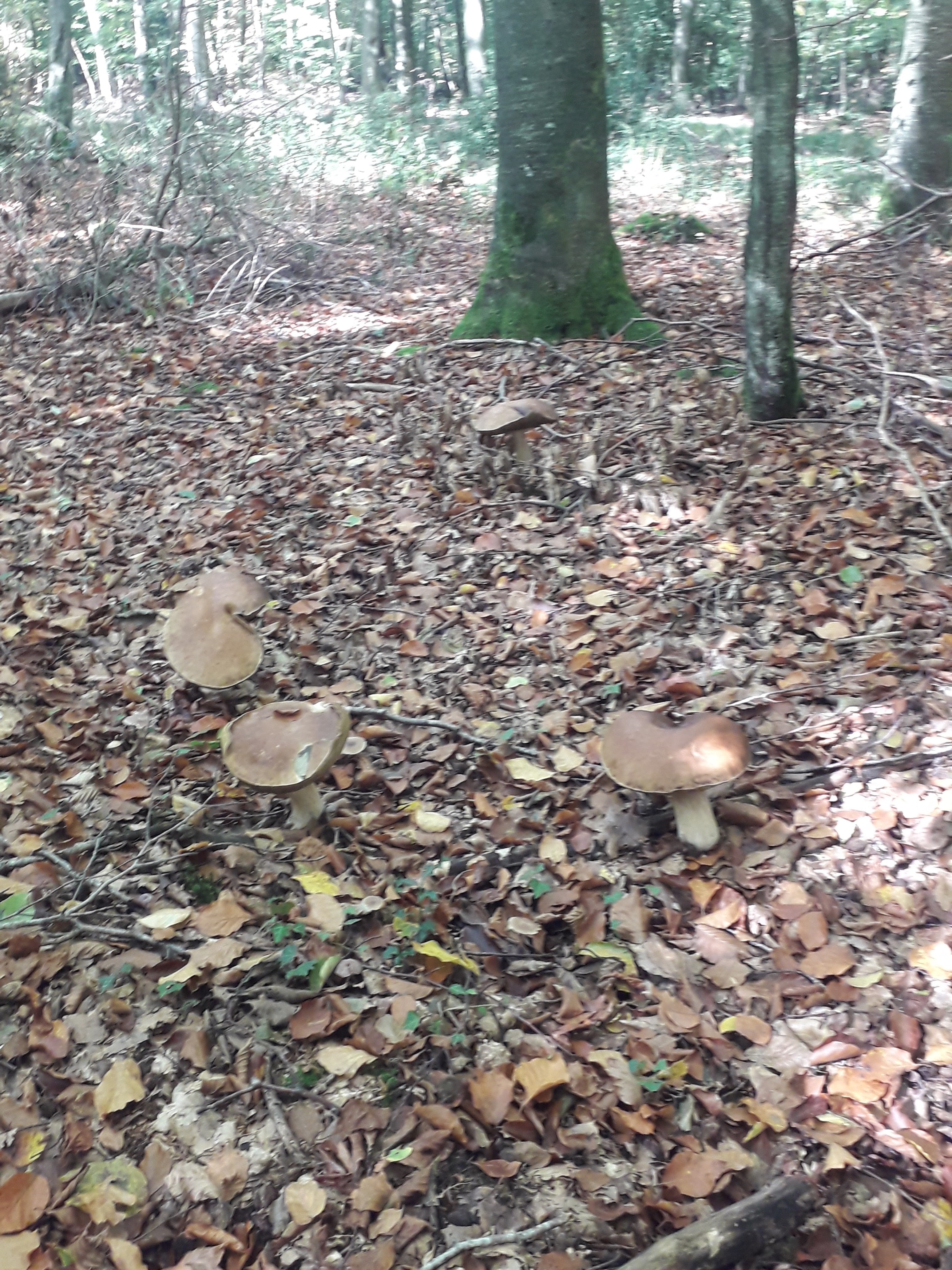 Photo n° 2 de l'avis de Fab.a fait le 17/11/2019 à 15:23