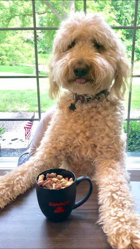 Auto Insurance Agency «Mike Bashore - State Farm Insurance Agent», reviews and photos