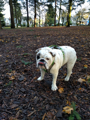 Park «Alberta Park», reviews and photos, 1905 NE Killingsworth St, Portland, OR 97211, USA