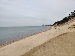 Central Beach'in fotoğrafı vahşi alan